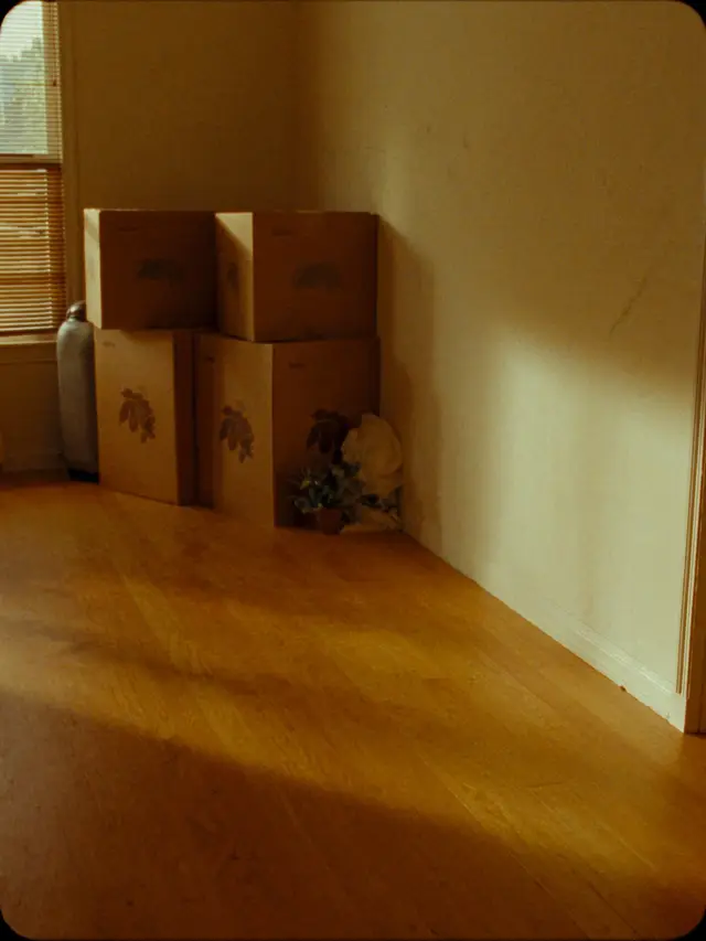 moving boxes in an empty sunlit room