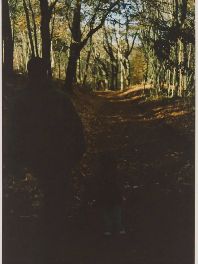 a parent and a small child walking down an autumn forest trail